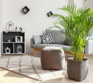 اهمیت نقطه کانونی در دکوراسیون داخل