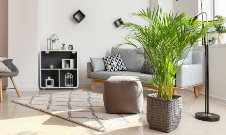 اهمیت نقطه کانونی در دکوراسیون داخل